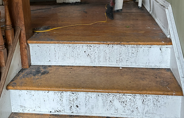 Water Damage Restoration